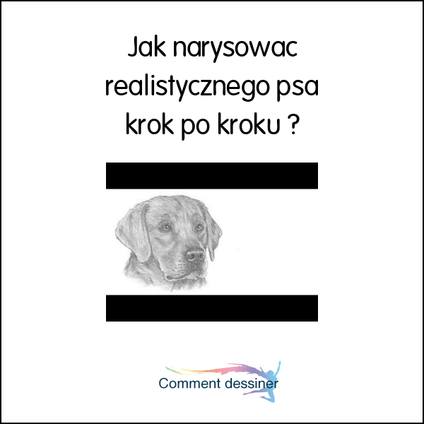 Jak narysować realistycznego psa krok po kroku